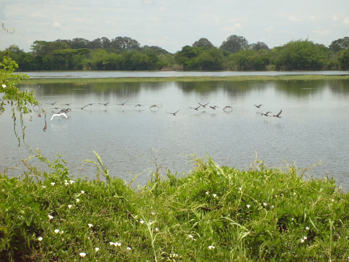 “A la definición de la Frontera Agrícola se le agregará  garrote contra las mafias y usurpadores de tierras”, dice Gobierno Nacional
